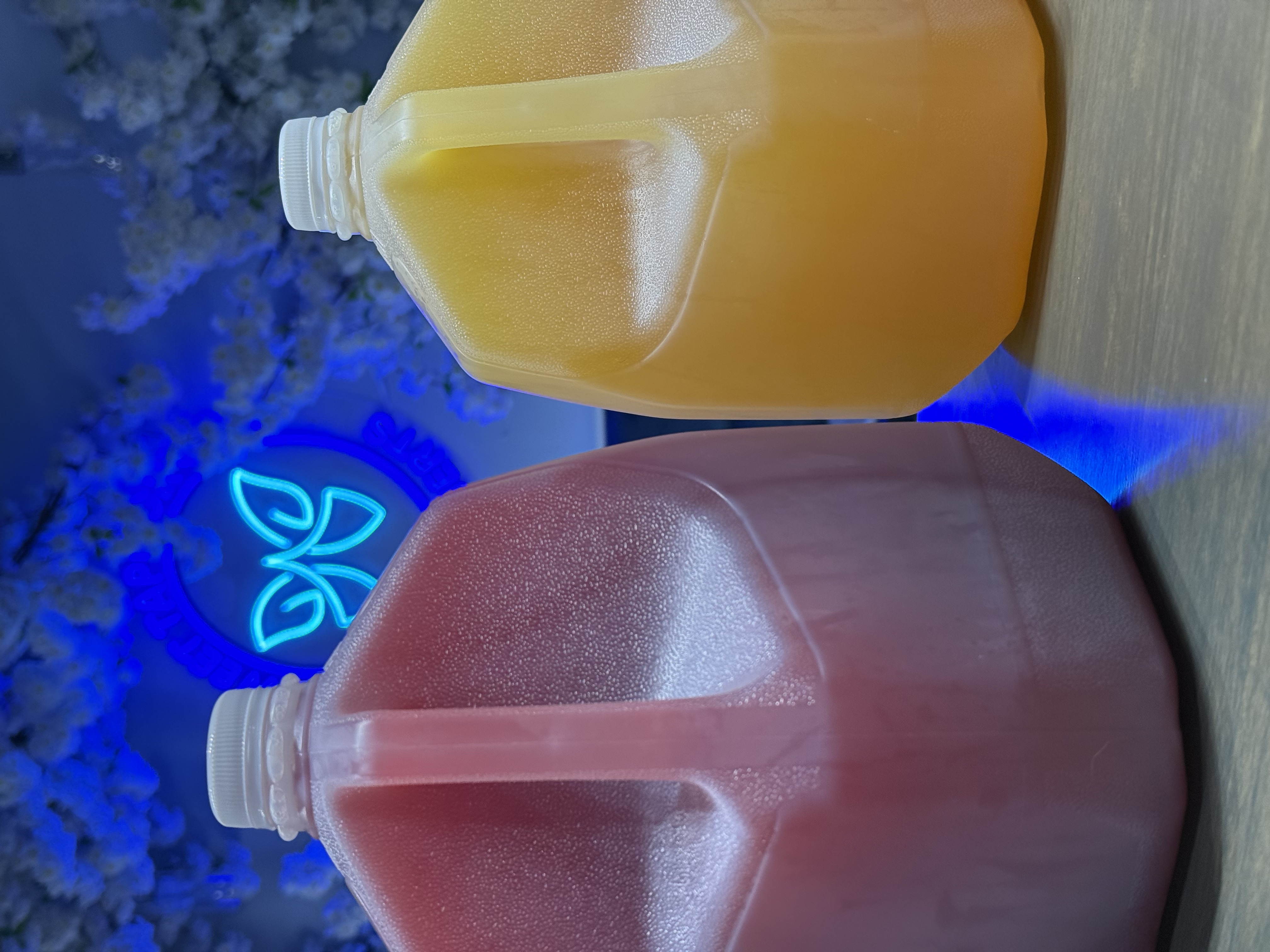 Sweet Tapioca Cafe party pack gallons